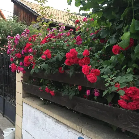 Bed & Breakfast Spacieuse Dans Joli Village Alsacien *