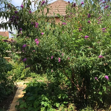 Spacieuse Dans Joli Village Alsacien Bed & Breakfast *