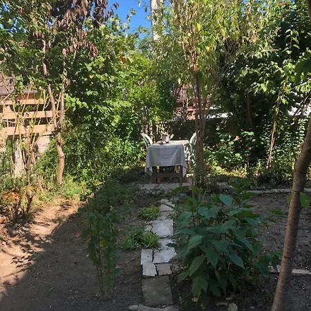 Alojamento de Acomodação e Pequeno-almoço Spacieuse Dans Joli Village Alsacien Châtenois