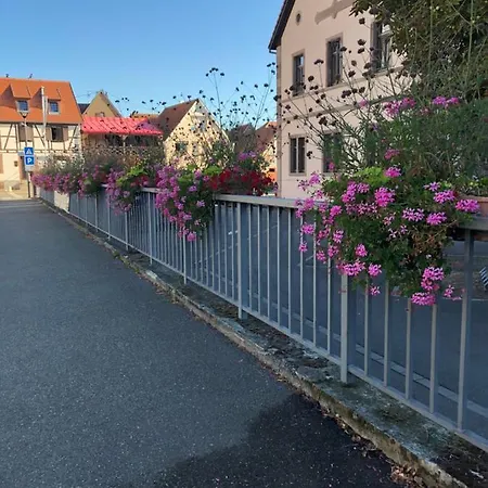 B&B Spacieuse Dans Joli Village Alsacien Châtenois