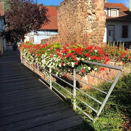 Spacieuse Dans Joli Village Alsacien Bed & Breakfast Chatenois (Bas-Rhin)