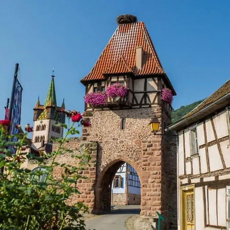 Bed & Breakfast Spacieuse Dans Joli Village Alsacien
