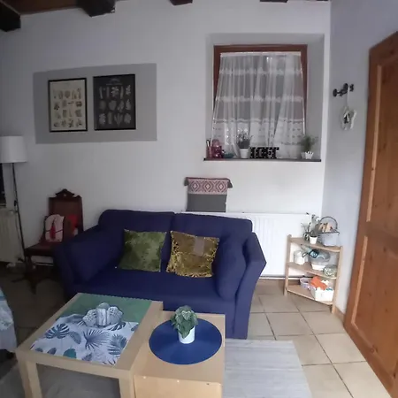 Spacieuse Dans Joli Village Alsacien B&B Châtenois