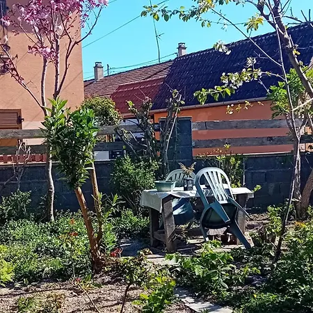 Spacieuse Dans Joli Village Alsacien