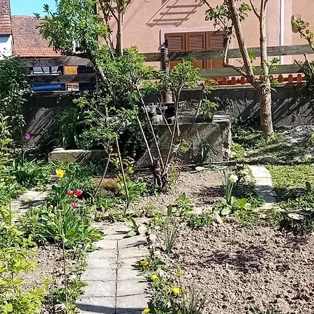 Bed & Breakfast Spacieuse Dans Joli Village Alsacien Chatenois (Bas-Rhin)