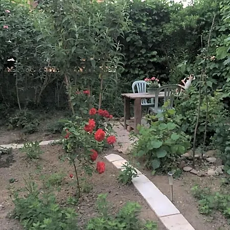 Spacieuse Dans Joli Village Alsacien Alojamento de Acomodação e Pequeno-almoço