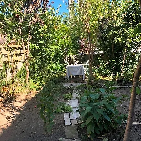 Spacieuse Dans Joli Village Alsacien Châtenois