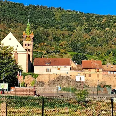 Spacieuse Dans Joli Village Alsacien 3*