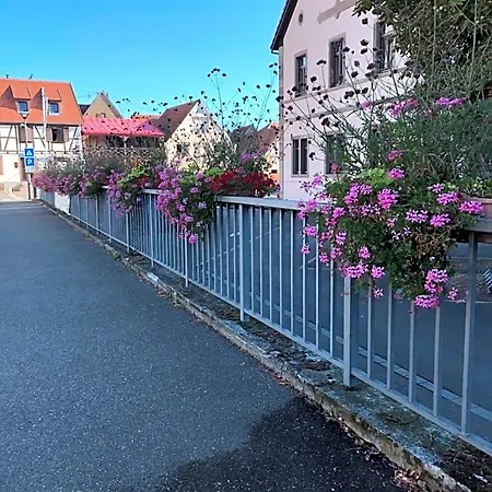 Spacieuse Dans Joli Village Alsacien Châtenois