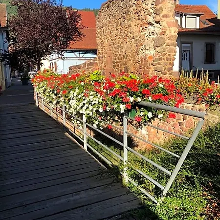 Spacieuse Dans Joli Village Alsacien