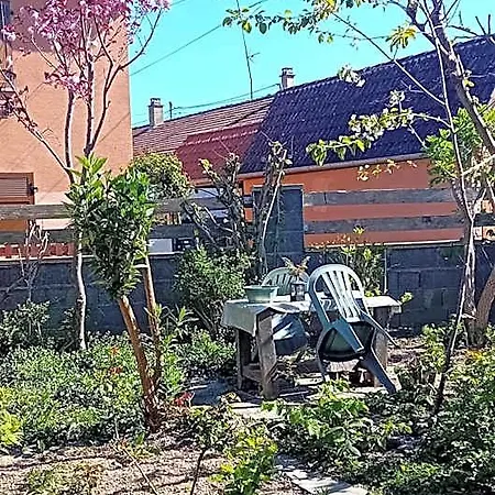 Spacieuse Dans Joli Village Alsacien 3* Châtenois