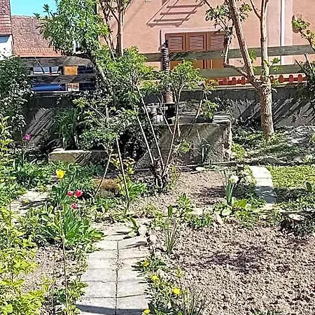 Spacieuse Dans Joli Village Alsacien Alojamento de Acomodação e Pequeno-almoço Châtenois
